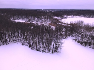 Land for sale in Clinton County Michigan - image 15