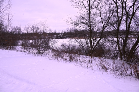 Land for sale in Clinton County Michigan - image 22