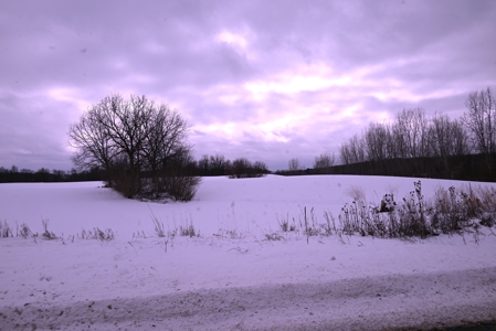 Land for sale in Clinton County Michigan - image 29