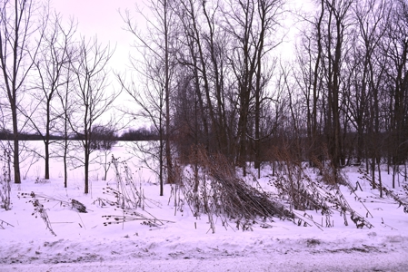 Land for sale in Clinton County Michigan - image 30