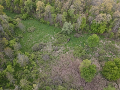 Land for sale in Clinton County Michigan - image 24