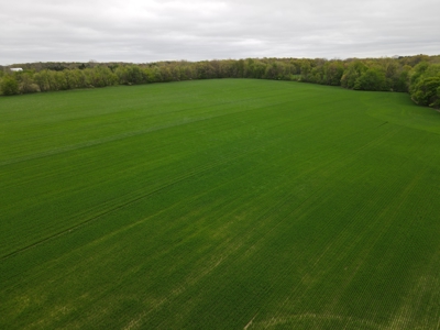 Land for sale in Clinton County Michigan - image 18