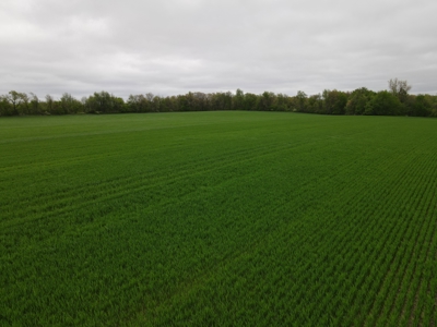 Land for sale in Clinton County Michigan - image 19