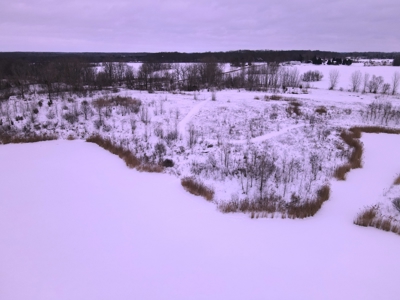 Land for sale in Clinton County Michigan - image 7