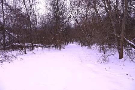 Land for sale in Clinton County Michigan - image 27