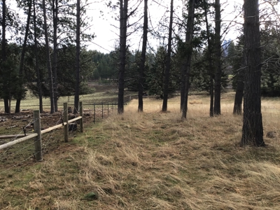 Buildable Land for Sale with Mountain Views in Harrison, Idaho - image 5