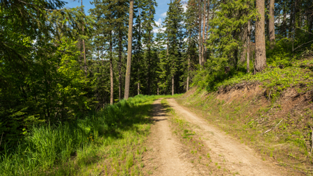Buildable Land for Sale with Mountain Views in Harrison, Idaho - image 2