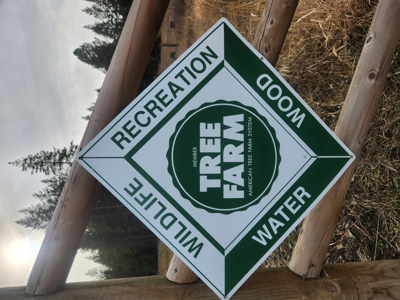 Buildable Land for Sale with Mountain Views in Harrison, Idaho - image 9