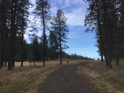 Buildable Land for Sale with Mountain Views in Harrison, Idaho - image 6