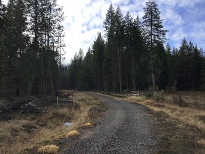 Buildable Land for Sale with Mountain Views in Harrison, Idaho - image 4