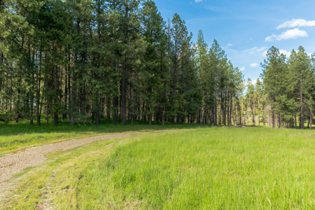 Buildable Land for Sale with Mountain Views in Harrison, Idaho - image 3