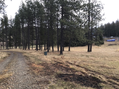 Buildable Land for Sale with Mountain Views in Harrison, Idaho - image 8