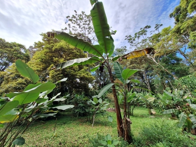 Unique Botanical Paradise - Bocas del Toro, Panama - image 7