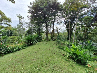Unique Botanical Paradise - Bocas del Toro, Panama - image 4