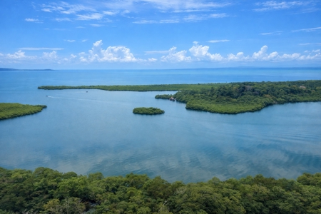 Unique Botanical Paradise - Bocas del Toro, Panama - image 13