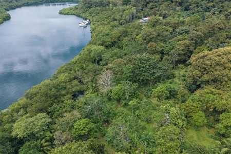 Unique Botanical Paradise - Bocas del Toro, Panama - image 12
