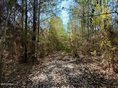 37+- Acres Sandy Hook MS for Sale - image 21