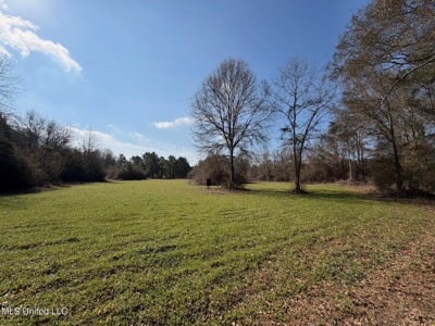 37+- Acres Sandy Hook MS for Sale - image 15