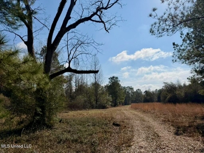 37+- Acres Sandy Hook MS for Sale - image 16