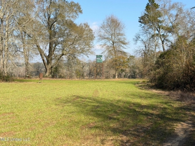 37+- Acres Sandy Hook MS for Sale - image 11