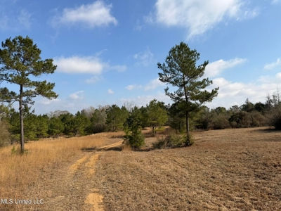 37+- Acres Sandy Hook MS for Sale - image 3
