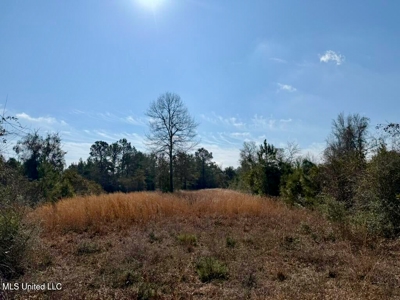 37+- Acres Sandy Hook MS for Sale - image 26