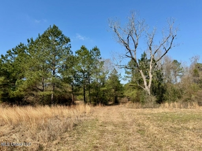 37+- Acres Sandy Hook MS for Sale - image 23
