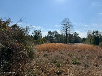 37+- Acres Sandy Hook MS for Sale - image 27