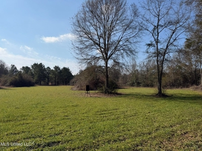 37+- Acres Sandy Hook MS for Sale - image 14