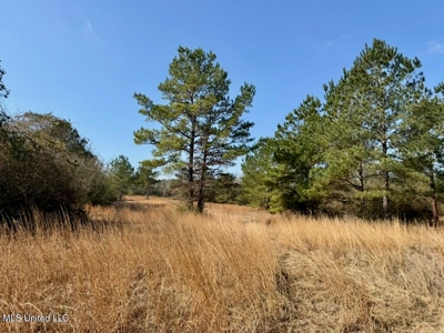 37+- Acres Sandy Hook MS for Sale - image 22