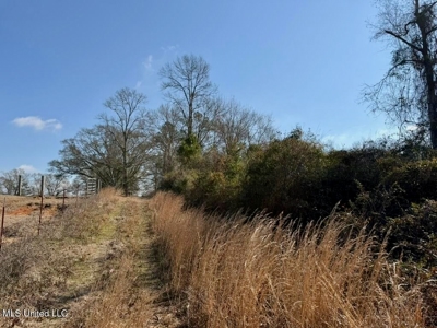 37+- Acres Sandy Hook MS for Sale - image 28