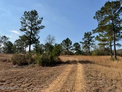 37+- Acres Sandy Hook MS for Sale - image 25