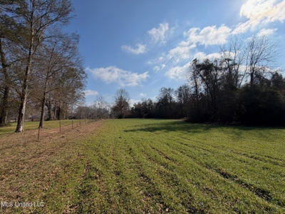 37+- Acres Sandy Hook MS for Sale - image 13
