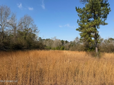 37+- Acres Sandy Hook MS for Sale - image 6