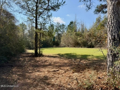 37+- Acres Sandy Hook MS for Sale - image 18
