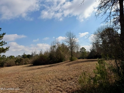 37+- Acres Sandy Hook MS for Sale - image 7