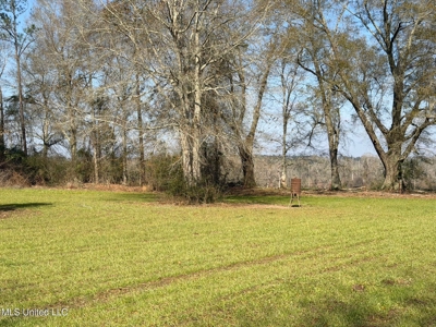 37+- Acres Sandy Hook MS for Sale - image 12