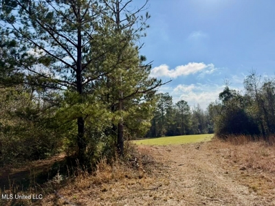 37+- Acres Sandy Hook MS for Sale - image 17