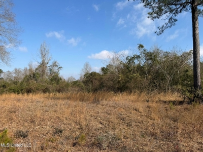 37+- Acres Sandy Hook MS for Sale - image 4