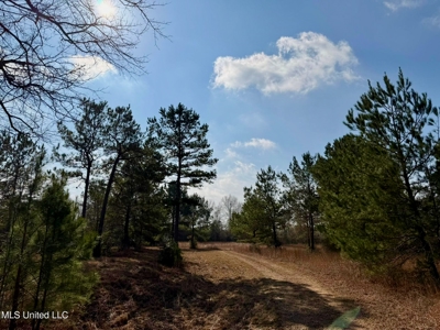 37+- Acres Sandy Hook MS for Sale - image 8