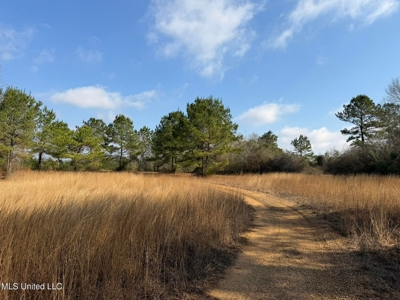 37+- Acres Sandy Hook MS for Sale - image 1