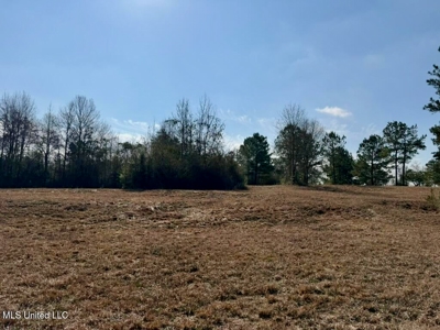 37+- Acres Sandy Hook MS for Sale - image 24