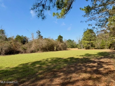 37+- Acres Sandy Hook MS for Sale - image 19