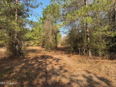 37+- Acres Sandy Hook MS for Sale - image 10