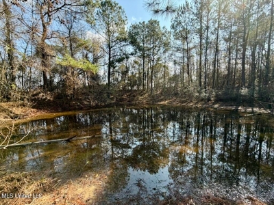 37+- Acres Sandy Hook MS for Sale - image 20