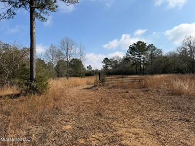 37+- Acres Sandy Hook MS for Sale - image 5