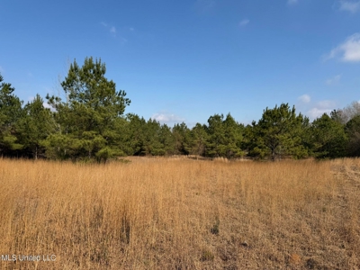 37+- Acres Sandy Hook MS for Sale - image 9