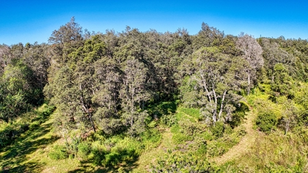 Hawaiʻi Horse & Ranch Retreat: 10.25 Acres with 3BR Home - image 25