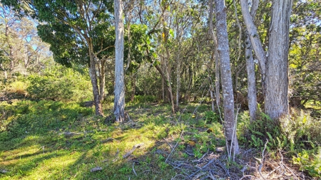 Hawaiʻi Horse & Ranch Retreat: 10.25 Acres with 3BR Home - image 11