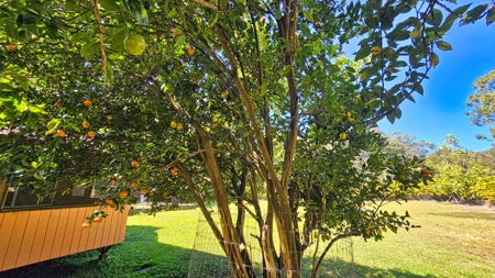 Hawaiʻi Horse & Ranch Retreat: 10.25 Acres with 3BR Home - image 19